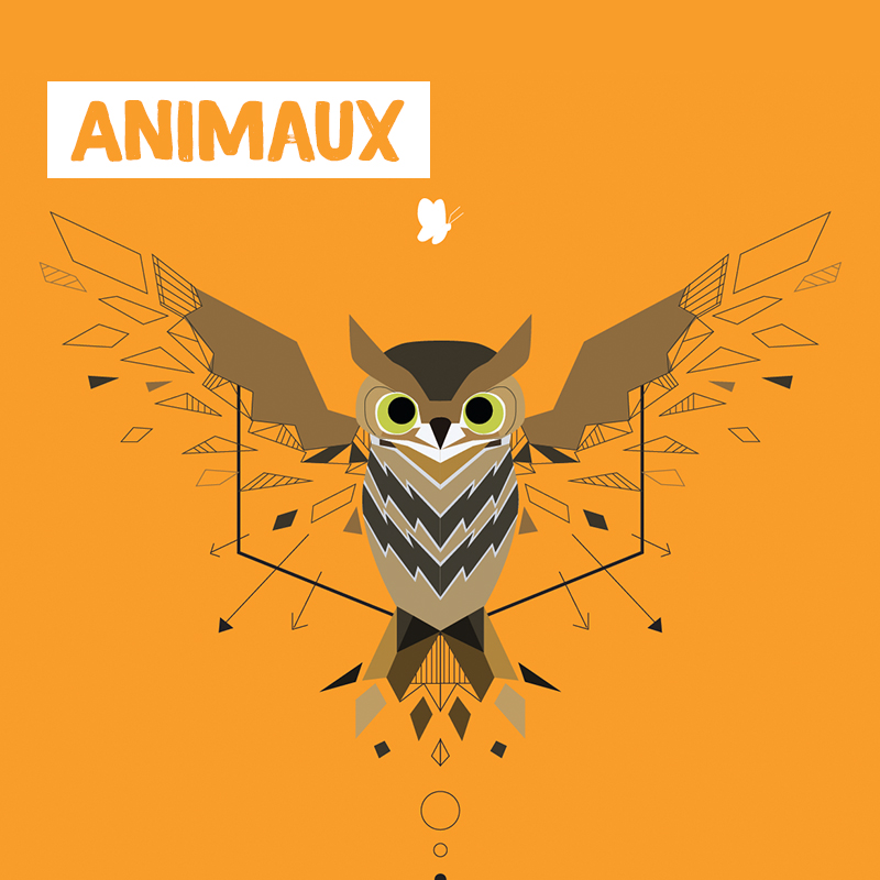 Graphisme - Projet universitaire - Animaux