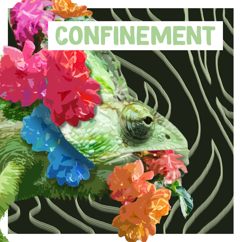 Graphisme - Projet personnel - Confinement