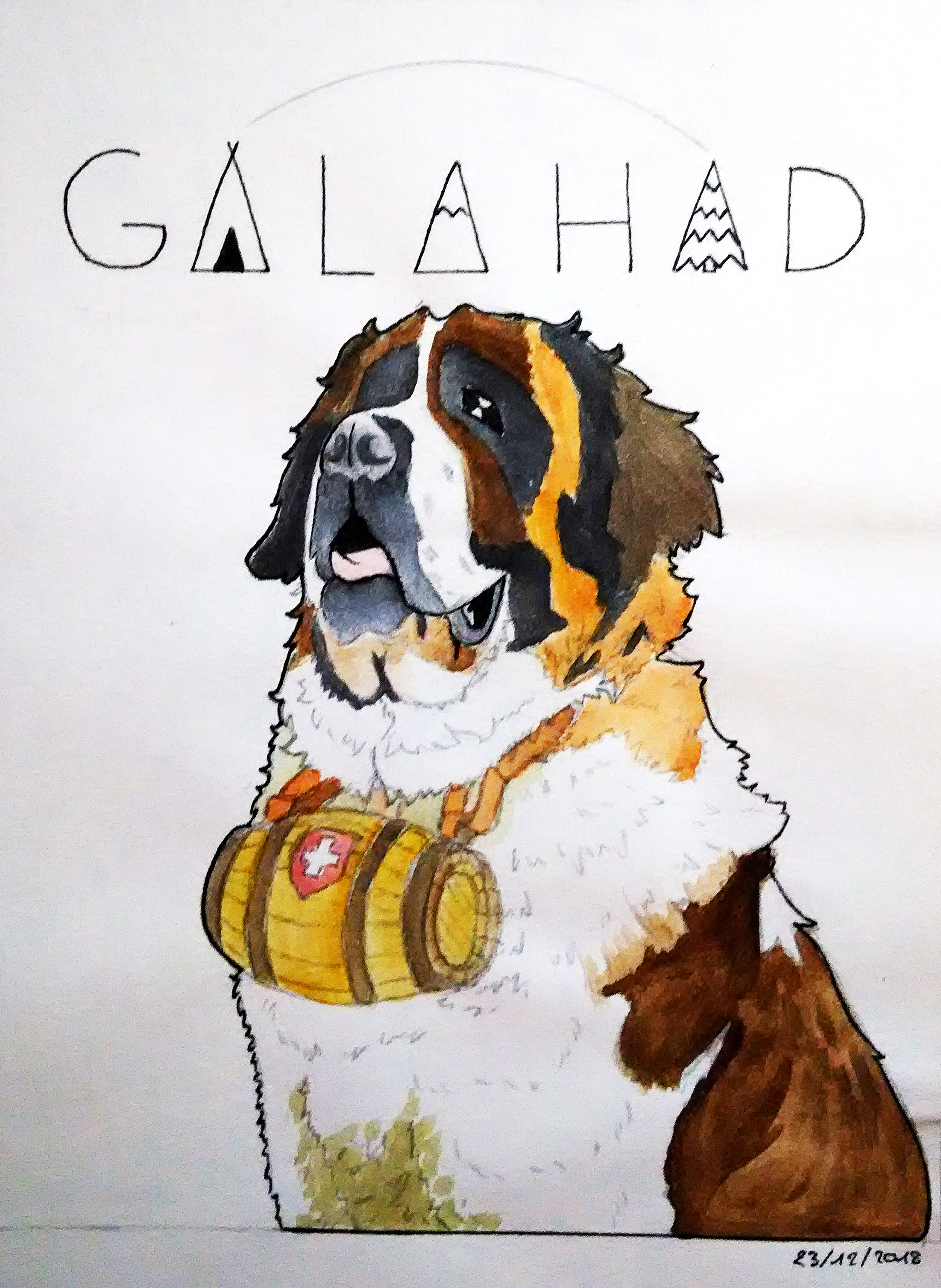 Galahad le St-Bernard