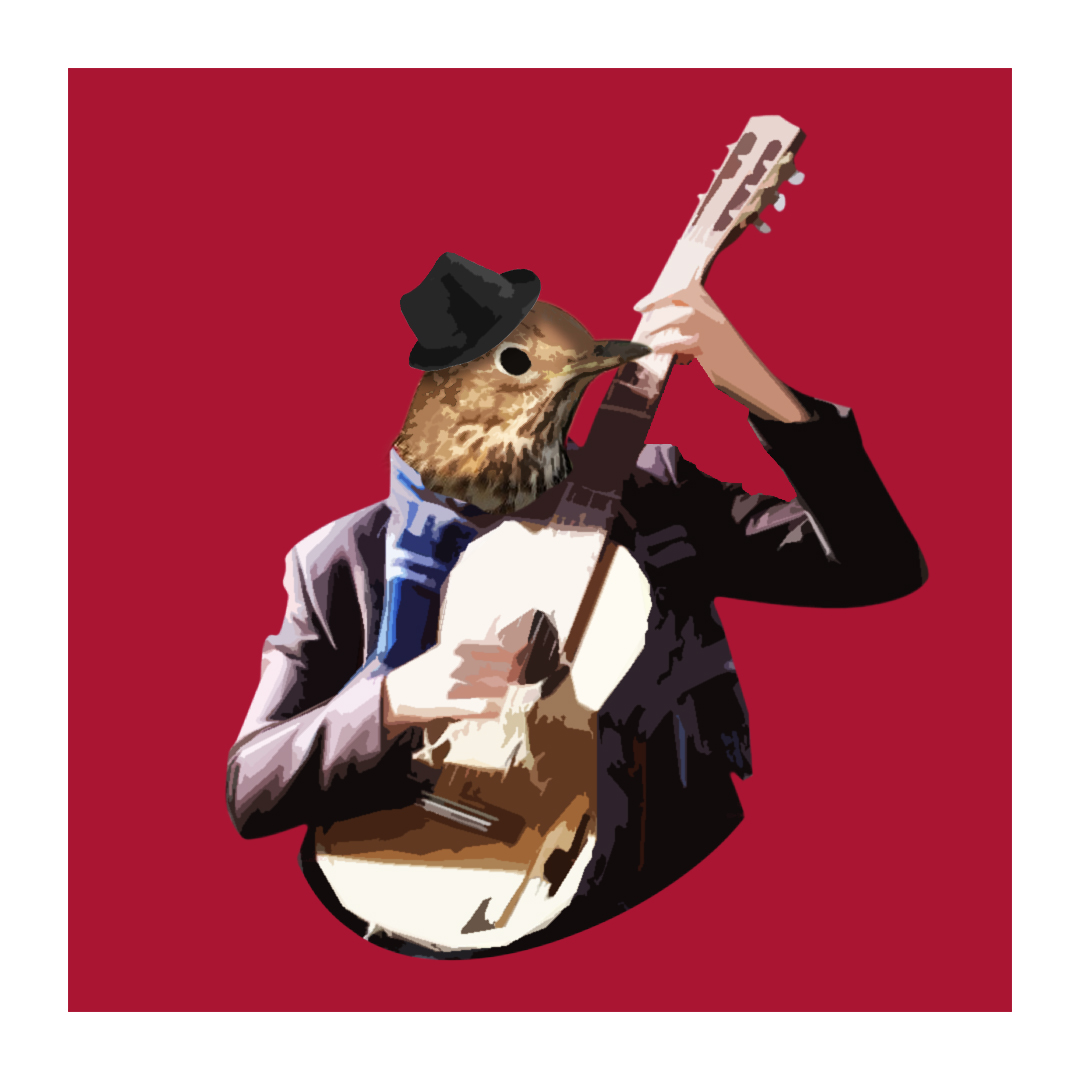 L'homme grive jouant sa guitare