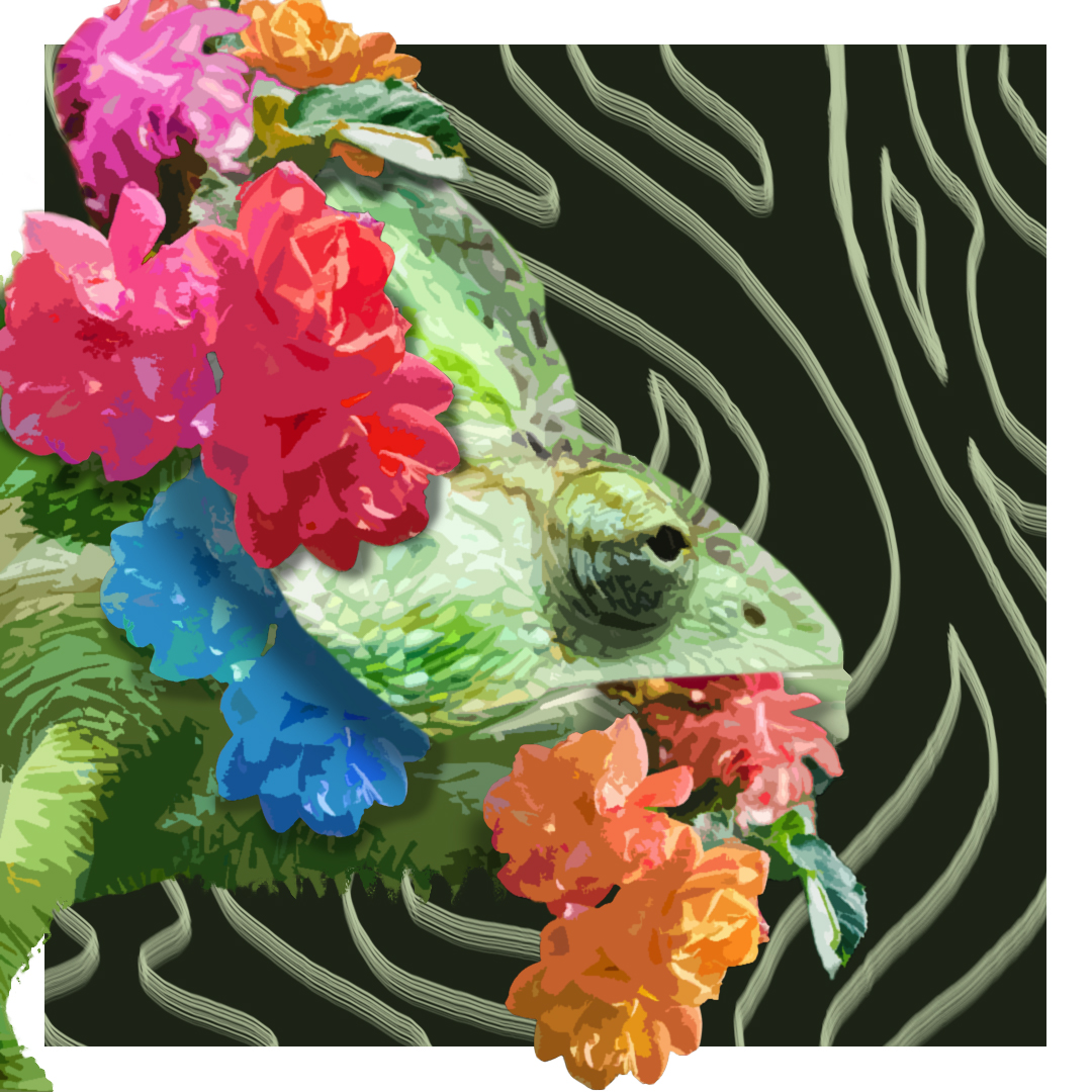 Chaméléon à fleurs